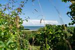 Meerblick - Haus Sundermann - Top-Hundeurlaub