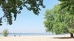 AreaSummer1KM - Ferienhaus für 5 Personen - Top-Hundeurlaub