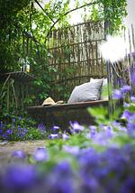 Ferienwohnung Maierers Schaiere - Top-Hundeurlaub