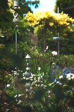 Ferienwohnung Maierers Schaiere - Top-Hundeurlaub