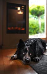 Ferienwohnung Maierers Schaiere - Top-Hundeurlaub