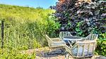 outside - Ferienhaus für 4 Personen (125 m²) in Scherpenisse - Top-Hundeurlaub