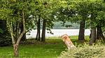 WaterView - Ferienhaus für 7 Personen (122 m²) in Ansager - Top-Hundeurlaub