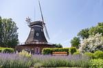 Nachbarschaft - Ferienhaus  Kiebitzmoor 7 - Top-Hundeurlaub