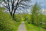 Landschaft - Ferienhaus  Kiebitzmoor 7 - Top-Hundeurlaub