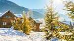 AreaWinter5KM - Ferienhaus für 7 Personen (45 m²) - Top-Hundeurlaub