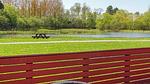 WaterView - Ferienhaus für 7 Personen (60 m²) in Tranekær - Top-Hundeurlaub