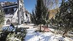 ViewWinter - Ferienwohnung für 7 Personen (35 m²) in Saint-Lary - Top-Hundeurlaub