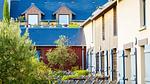 ExteriorSummer - Ferienwohnung für 5 Personen (30 m²) - Top-Hundeurlaub