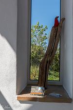 Ferienwohnung  ScheunenRefugio - Top-Hundeurlaub