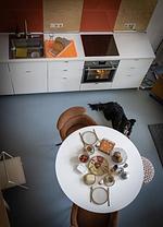 Ferienwohnung  ScheunenRefugio - Top-Hundeurlaub