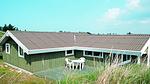 Outdoor - Ferienhaus für 5 Personen (70 m²) in Blokhus - Top-Hundeurlaub