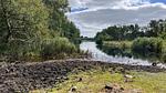 WaterView - Ferienhaus für 9 Personen (114 m²) in Væggerløse - Top-Hundeurlaub