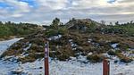 Untagged - Ferienhaus für 11 Personen (180 m²) in Rømø - Top-Hundeurlaub