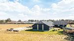 Outdoor - Ferienhaus für 25 Personen (280 m²) in Snedsted - Top-Hundeurlaub