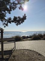 4-40 - Top-Hundeurlaub