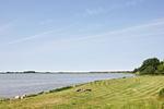 Strand - FeWo Lee: Wassernähe - Top-Hundeurlaub