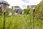 Gartenblick - FeWo Die Muschel - Schillig - Top-Hundeurlaub