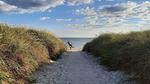 Untagged - Ferienhaus für 7 Personen (60 m²) in Blåvand - Top-Hundeurlaub