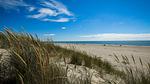 Untagged - Ferienhaus für 7 Personen (60 m²) in Blåvand - Top-Hundeurlaub