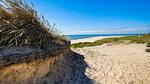 Untagged - Ferienhaus für 7 Personen (60 m²) in Blåvand - Top-Hundeurlaub