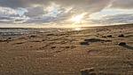 Untagged - Ferienhaus für 7 Personen (60 m²) in Blåvand - Top-Hundeurlaub