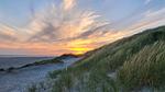 WaterView - Ferienhaus für 7 Personen (60 m²) in Blåvand - Top-Hundeurlaub