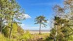 View - Ferienhaus für 5 Personen (46 m²) in Havneby - Top-Hundeurlaub