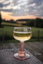 Ferienhaus Rote Sau - Top-Hundeurlaub