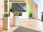 Wohnzimmer - Wohnung 05-7 - Top-Hundeurlaub