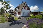 Hauptansicht - Ferienhaus Schilfrohrsänger 26 - Top-Hundeurlaub
