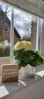 Dekoratives Detail - Hoppetosse - Top-Hundeurlaub