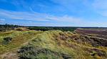 Outdoor - Ferienhaus für 19 Personen (235 m²) in Rømø - Top-Hundeurlaub