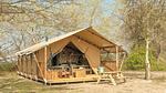 ExteriorSummer - Ferienwohnung im Ferienpark für 7 Personen - Top-Hundeurlaub