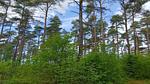 Untagged - Ferienhaus für 9 Personen (161 m²) in Oksbøl - Top-Hundeurlaub