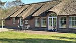 Outdoor - Ferienhaus für 15 Personen (250 m²) in Ulfborg - Top-Hundeurlaub