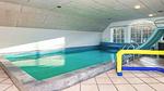 Pool - Ferienhaus für 15 Personen (250 m²) in Ulfborg - Top-Hundeurlaub