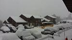 Untagged - Ferienwohnung für 5 Personen (27 m²) in La Plagne Tarentaise - Top-Hundeurlaub