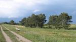 Untagged - Ferienhaus für 13 Personen (200 m²) in Væggerløse - Top-Hundeurlaub