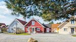 Outdoor - Ferienhaus für 7 Personen (120 m²) in Blåvand - Top-Hundeurlaub