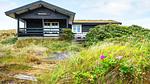Outdoor - Ferienhaus für 7 Personen (71 m²) in Ringkøbing - Top-Hundeurlaub