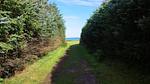 Untagged - Ferienhaus für 11 Personen (135 m²) in Ålbæk - Top-Hundeurlaub