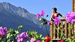 Untagged - Ferienwohnung für 9 Personen (50 m²) in Aussois - Top-Hundeurlaub