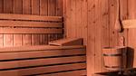 Wellness - Ferienwohnung für 5 Personen (37 m²) in La Clusaz - Top-Hundeurlaub