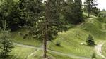 ExteriorSummer - Ferienwohnung für 6 Personen (30 m²) in Les Arcs 1800 - Top-Hundeurlaub
