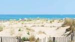 Ferienwohnung für 5 Personen (19 m²) in Marseillan - Top-Hundeurlaub