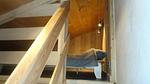 Untagged - Ferienwohnung für 6 Personen (36 m²) in Le Grand-Bornand - Top-Hundeurlaub