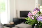 Dat hygge Flow - Top-Hundeurlaub