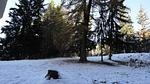 Untagged - Ferienwohnung für 5 Personen (25 m²) in Bourg-Saint-Maurice - Top-Hundeurlaub