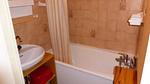 ExteriorSummer - Ferienwohnung für 5 Personen (25 m²) in Le Baplieu - Top-Hundeurlaub